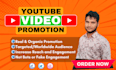 do organic youtube video promotion to maximize reach