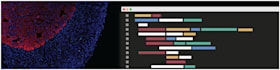 conduct data analysis, apply bioinformatics tools, and statistical analysis