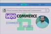 setup and customize your store using woocommerce