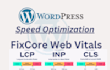 do wordpress speed optimization and fix core web vitals, cls, lcp, inp issues