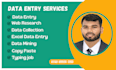 do data entry and copy paste job