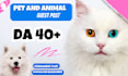 provide  high da pet and animal guest posts with dofollow backlinks