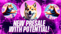 promote crypto website project telegram promotion