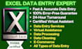 do expert excel spreadsheet data entry services, virtual data entry assistant