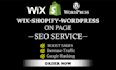 do on page seo for your wordpress shopify website with robots txt, schema markup