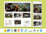 build a custom ecommerce website for plant nursery and garden businesses