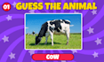 create trivia, quizzes, multiple choice questions, guessing videos