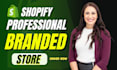 set up shopify store