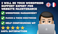 be your wordpress support expert for website maintenance