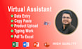 do data entry, copy paste, web research, product listing