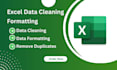 do excel data cleaning and formatting