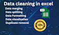 do excel, data cleaning, excel big data and organize excel data