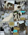 do nsfw comic, sfw comic, furry comic, comic strip, comic