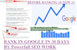 rank website by monthly seo plan on google within 1 month