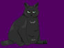 draw your pets in a cute cartoonish style digitally