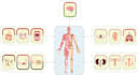 draw graphical abstracts and article illustrations