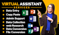 virtual assistance, copy paste, data entry, ms word excel