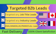 do USA,UK,canada,france targeted b2b leads