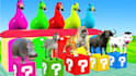 make long slide game animals video and 3d funny animals game