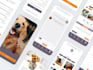 create your website in less than 14 days