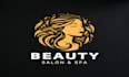 design app  website logo intro