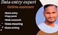 do data entry or copy paste work for you in low price