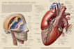 create medical educational scientific arts