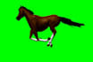 edit your green screen video