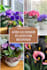 create and schedule custom pin on pinterest