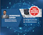 fast, reliable wordpress solutions