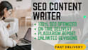 write high quality SEO articles and blog posts with images