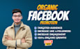 do organic facebook page promotion