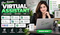 be your virtual assistant for admin support and data entry