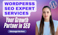 provide wordpress SEO expert full services