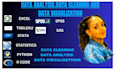 do statistical data analysis, r coding, spss, stata, excel, python programming