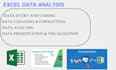 do accurate excel data analysis and visualization