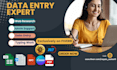 be your virtual assistant for excel data entry, data mining, web research, excel