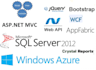 create web app using asp dot net mvc