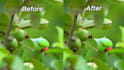 upscale and enhance your video up to 4k using topaz ai