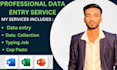 be professional data entry service , excel data entry,