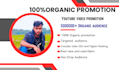 do organic youtube promotion to the targeted audience