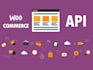 seamlessly integrate any API with woocommerce