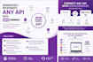 seamlessly integrate any API with woocommerce