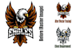 vectorize, recreate and enhance the quality and company logo