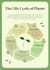 create infographic design with stunning and concise visual