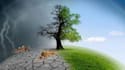 do geology, marine, climate change and environmental tasks