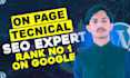 offer a complete monthly SEO service with on page  and technical fixes