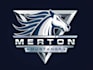 do custom sports logo design