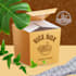 do box designs for gifts, shipping and packaging