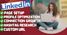 create professional linkedin account and optimize profile